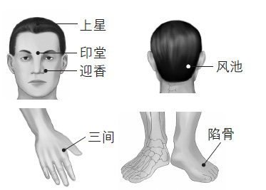 鼻塞、打鼾等鼻子問題的防治